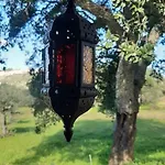 Terramadome, 
