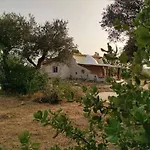 Terramadome, 