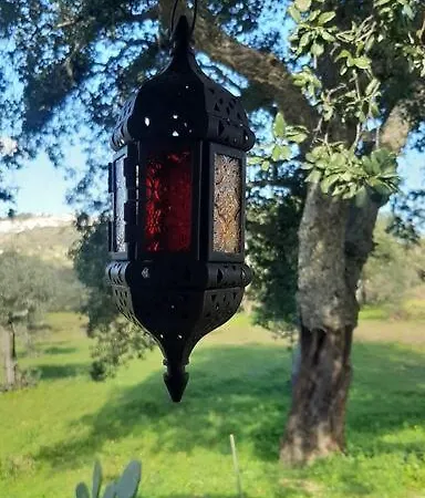 Terramadome, 