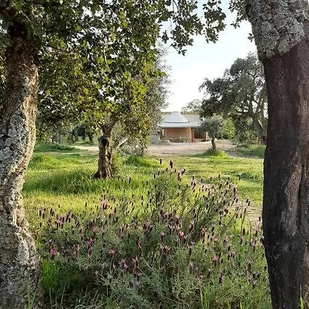 Quinta Terramadome: Dome Incomum & Responsavel Holiday home *