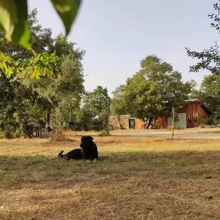 Quinta Terramadome: Dome Incomum & Responsavel *