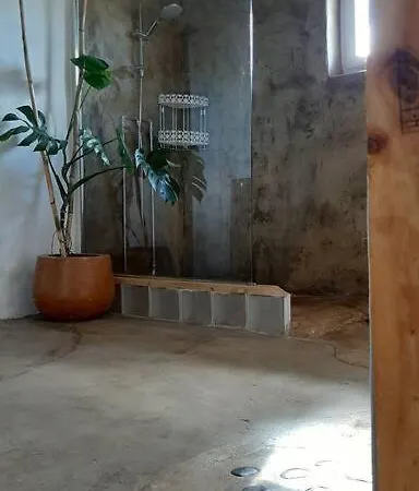 Quinta Terramadome: Dome Incomum & Responsavel