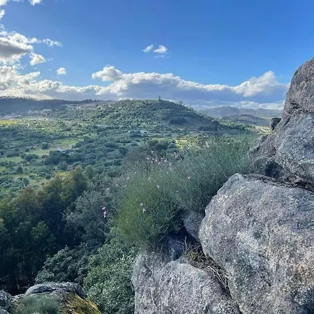 Terramadome, 