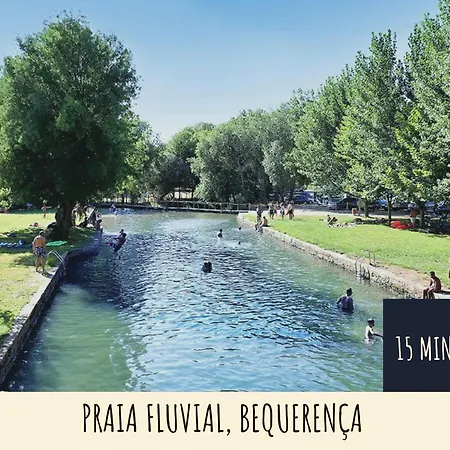 Holiday home Quinta Terramadome: Dome Incomum & Responsavel