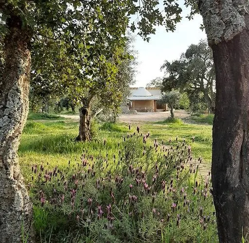 Quinta Terramadome: Dome Incomum & Responsavel Holiday home *