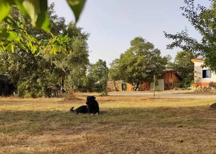 Quinta Terramadome: Dome Incomum & Responsavel *